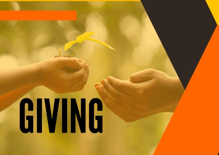 Giving | Beyond Material Wealth: Exploring the Real Cost of Caring Giving | Beyond Material Wealth: Exploring the Real Cost of Caring.